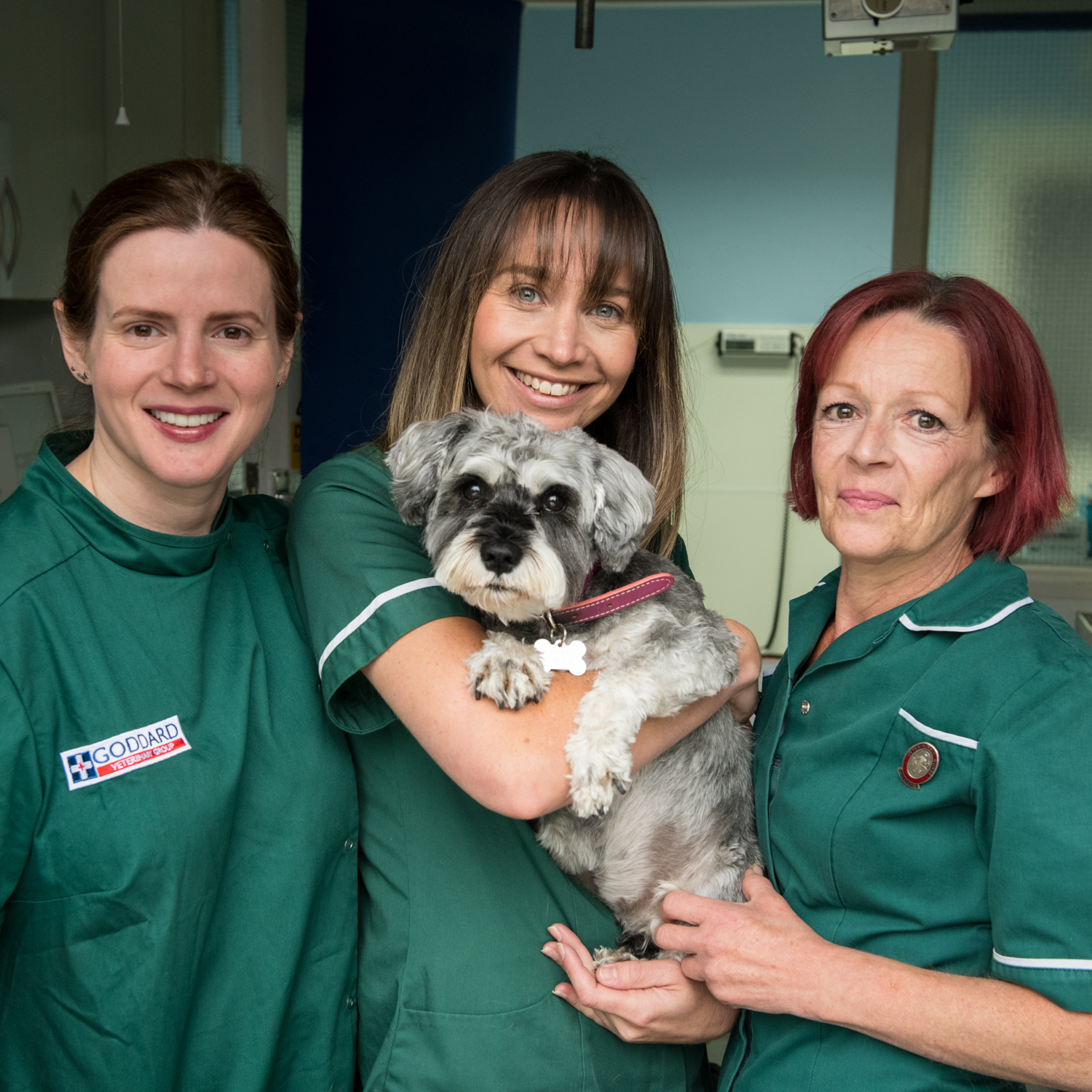 Job Registered Veterinary Nurse. Goddard Veterinary Group, London Jobs Vet Nurse Vet Nurse