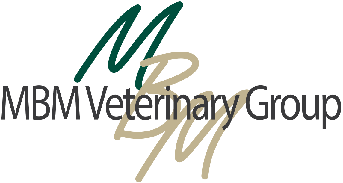 Job Registered Veterinary Nurse. MBM Vets, Kilmarnock Jobs Vet Nurse Vet Nurse