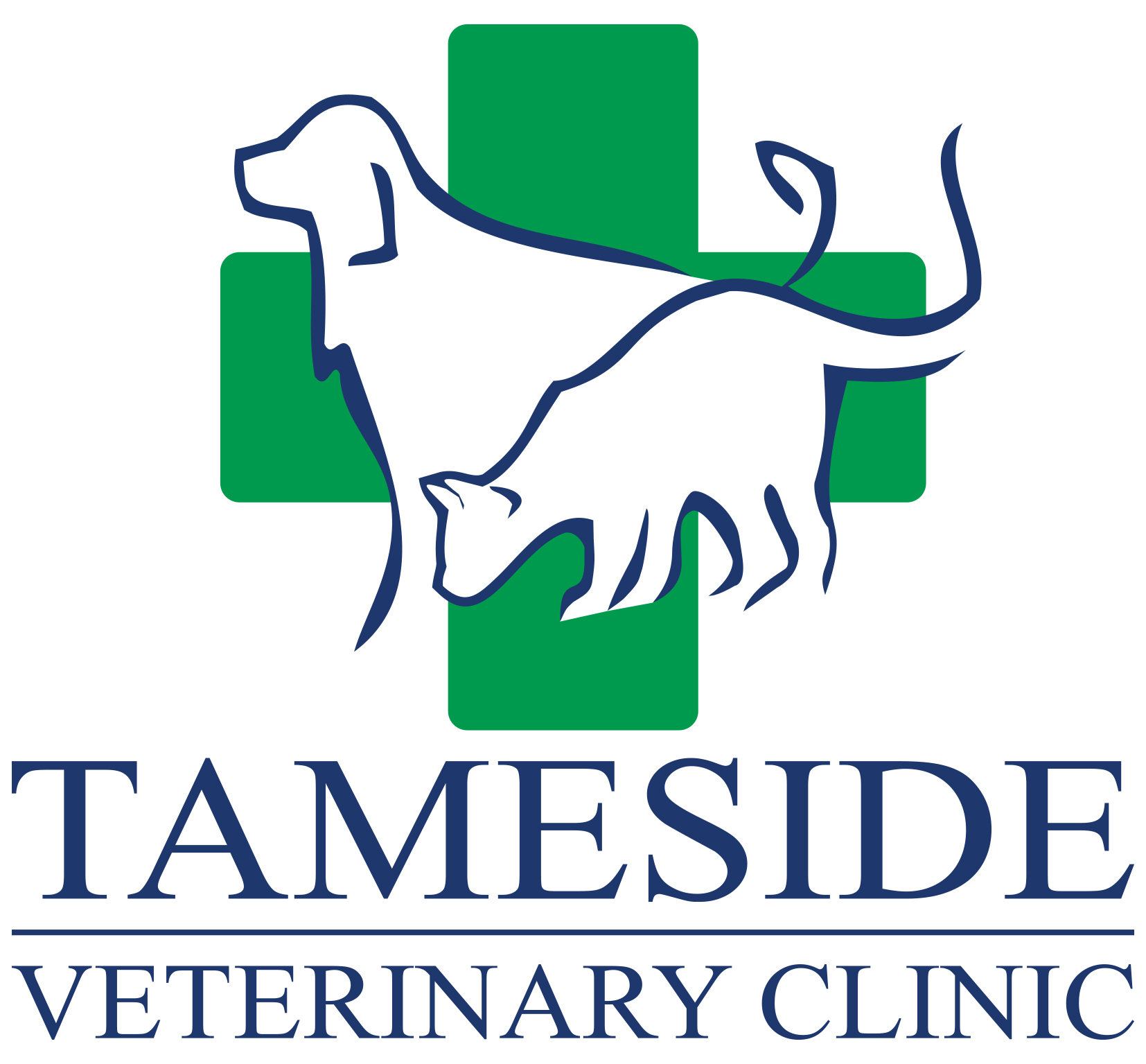 Job Registered Veterinary Nurse. Tameside Veterinary Clinic, Greater