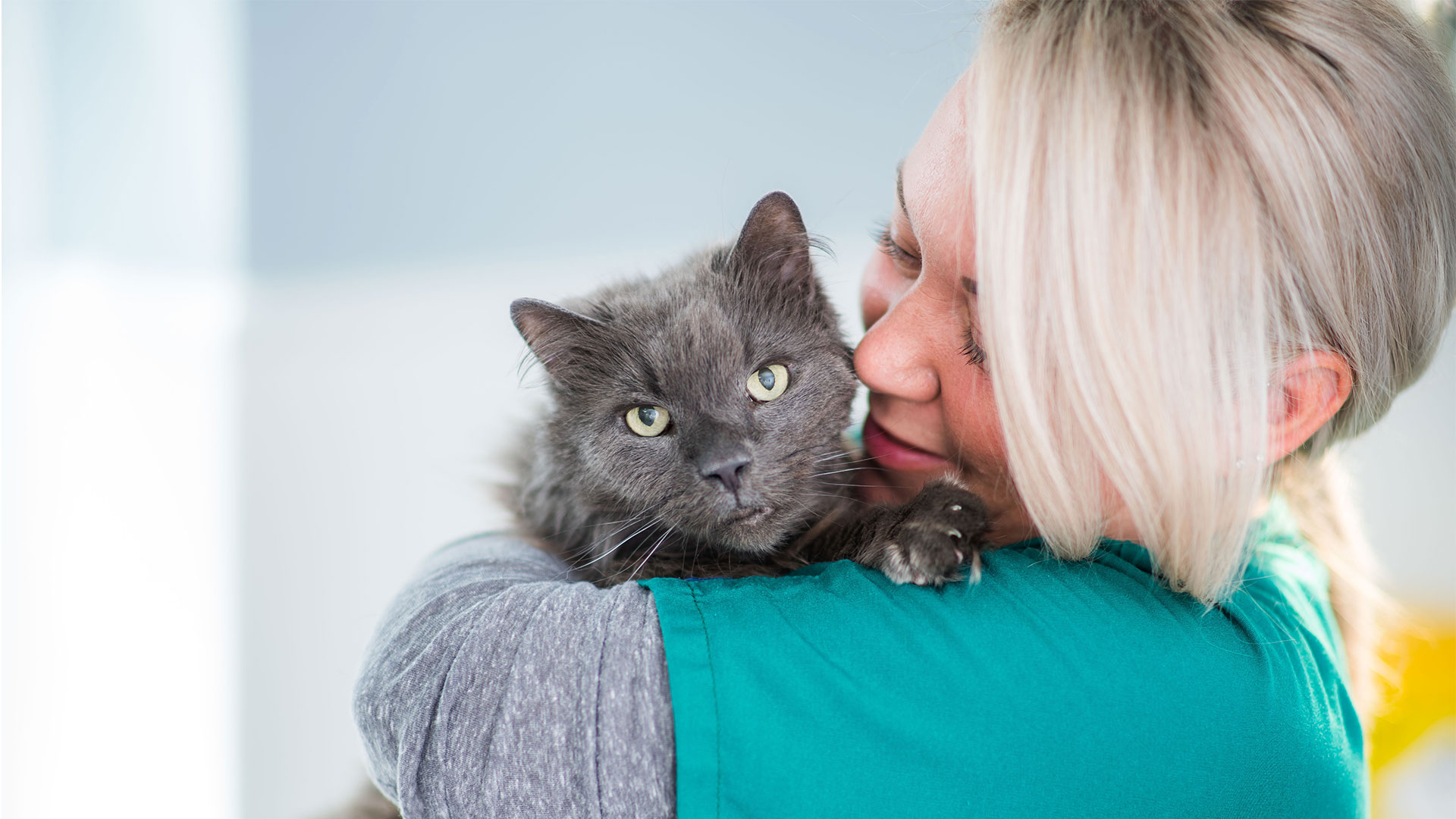 Job Registered Veterinary Nurse. Taylor Veterinary Practice, Glasgow Jobs Vet Nurse Vet Nurse