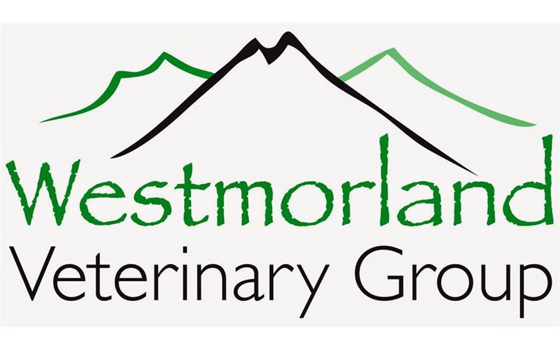 Job Registered Veterinary Nurse. Westmorland Vets, Kendal, Kendal