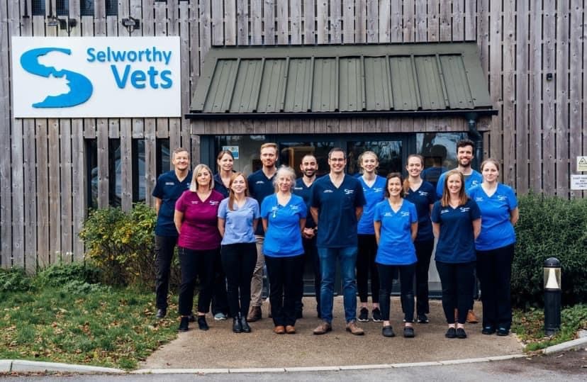 Job Registered Veterinary Nurse. Selworthy Vets , Devon Jobs Vet