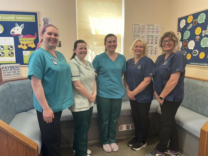 Job Registered Veterinary Nurse. Crossriggs Veterinary Clinic, East