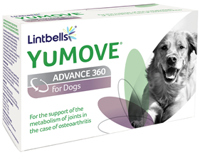 Best Supplement For Dogs Joints Uk Best Supplement For Dogs Joints Uk