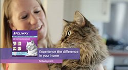 Ceva Animal Health has announced its biggest ever TV advertising campaign, designed to highlight the benefits of using Adaptil and Feliway, will begin on Christmas Day. 