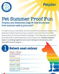 Petplan has teamed up with Battersea Dogs & Cats Home to launch Summer Safety, a pet owner education campaign based on insurance claims received by the company. 