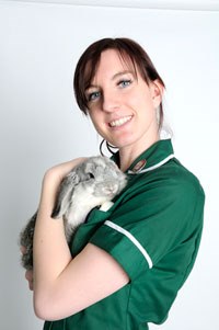 The British Small Animal Veterinary Association has announced that it is expanding its membership package for VNs