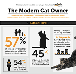 Bayer Animal Health has released the results of some market research conducted amongst cat owners.