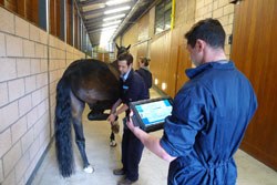 A new study published in Equine Veterinary Journal's (EVJ) in partnership with the American Association of Equine Practitioners, has shown that a wireless, inertial sensor-based system can effectively measure a horse's response to a flexion test.