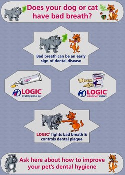 To help veterinary practices promote the importance of dental hygiene, new waiting room display materials are also available