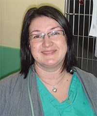 Louise O'Dwyer MBA BSc (Hons) VTS(Anaesthesia & ECC) DipAVN (Medical & Surgical) RVN Clinical Director 