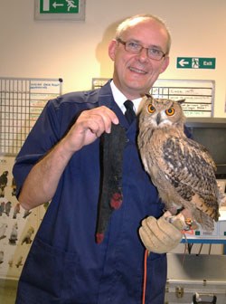 Neil Forbes FRCVS, Specialist in Avian Medicine at Vets Now Referrals, has been dealing with a rather interesting case: an owl that swallowed a sock.