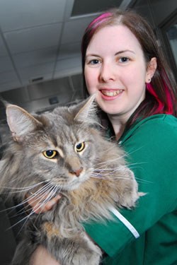 Sara-Ann Dickson, Dechra Feline Nurse