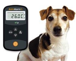 A new device call the Animalarm, which sends dog owners an SMS text message if the temperature in their car exceeds a preset threshold, has been launched this week.