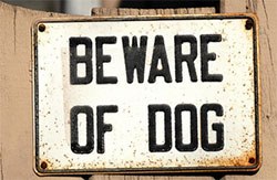 As of the start of this week, police forces and local authorities have new legal powers designed to reduce the number of dog attacks.