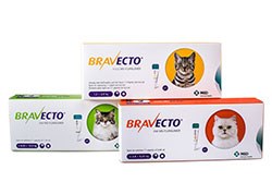 Bravecto (fluralaner) Spot-On Solution for cats, a spot-on treatment for fleas and ticks effective for 12 weeks following a single dose