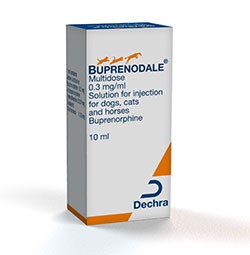 Dechra Veterinary Products has launched Buprenodale, an opioid analgesic for cats, dogs and horses presented in a 10ml multi-dose vial.