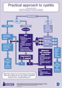 for veterinary surgeons, the company has produced an A3 decision tree featuring the practical approach to cystitis