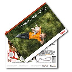 Elanco Companion Animal Health, maker of Comfortis and Trifexis, has launched Common parasites of dogs, a new publication designed to help veterinary professionals advising clients about the benefits of regular parasite control.