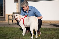 Professor of Small Animal Surgery Dan Brockman with Mabel