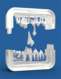 Royal Canin is offering a free dental model to practices that order £300 or more of selected Royal Canin diets.