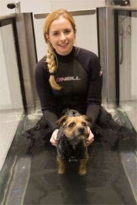 Davies Veterinary Specialists (DVS) has opened a new Therapy and Fitness Centre at its Hertfordshire veterinary referral practice.