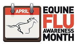 Merial has announced that it has joined forces with the Animal Health Trust to hold Equine Flu Awareness Month in April. 