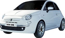 Hill's has announced that it has selected a Fiat 500 as the main prize in this year's Drive Nutrition competition, to be awarded at the BVNA Congress in October. 