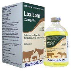 Norbrook Laboratories has announced the addition of new indications to its Loxicom (meloxicam) products, two regarding its use in cats, and the other in calves.