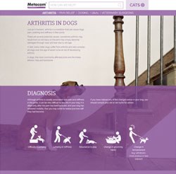 Boehringer Ingelheim has re-launched its website www.metacam.co.uk with a redesign which aims to help cat and dog-owning clients identify and manage pain in their pets. 