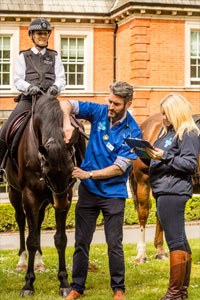 The Metropolitan Police Mounted Branch (Hyde Park) has joined forces with the Blue Cross to launch the charity's National Equine Health Survey, taking place this week.