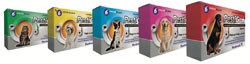 Norbrook Laboratories Ltd has announced the launch of Pestigon, a fipronil spot-on solution for cats and dogs