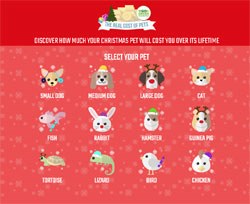 Wood Green, The Animals Charity and TotallyMoney.com have launched the Cost of Christmas Pets calculator to help prospective pet owners understand the total lifetime financial commitment involved with owning an animal.