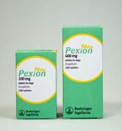 Boehringer Ingelheim Vetmedica has launched Pexion (imepitoin) a novel treatment for canine idiopathic epilepsy.