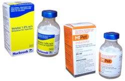 Norbrook Laboratories has issued a product recall of all batches of Propofol Emulsion for Injection 1.0% w/v currently on the market.