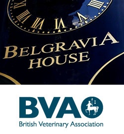The RCVS and the BVA have sent a joint letter to the Prime Minister with their concerns over how Brexit, and its impact on EU migration, may affect the veterinary profession.