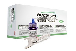 Elanco Companion Animal Health has launched a new ordering process for Recuvyra, its transdermal fentanyl solution for the control of postoperative pain relief in dogs.
