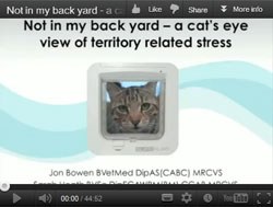 Sureflap, the microchip pet door company has teamed up with animal behaviourist Jon Bowen MRCVS to provide a free CPD-qualifying webinar about improving cats' quality of life with simple modifications to their environment. 