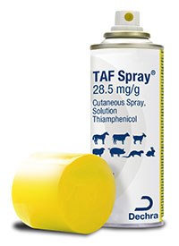 TAF Spray (thiamphenicol)