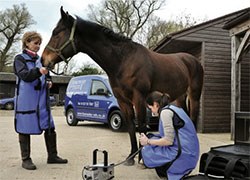 The British Equine Veterinary Association has published the results of a survey it commissioned which found that horse vets in the UK are probably at greater risk of injury than any other civilian profession, including the prison service.