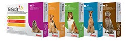 Elanco Companion Animal Health has launched Trifexis, an oral tablet to provide dogs with three-in-one protection against fleas, intestinal nematodes and heartworm.