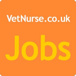 A new survey published by VetNurse Jobs has shown that above all else, the thing that veterinary nurses want from a job in practice is to feel ‘valued or appreciated, especially by veterinary surgeons, as part of a collaborative team.’