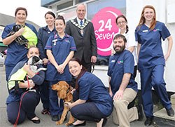 Vets4Pets has announced that it is piloting a new 24/7 service at its practices in Rayleigh in Essex, Rustington in Sussex and Bournemouth in Dorset.