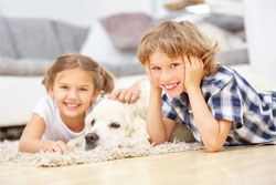 A study published in the Journal of Applied Developmental Psychology has concluded that children get more satisfaction from their relationship with their pets than with their brothers or sisters.