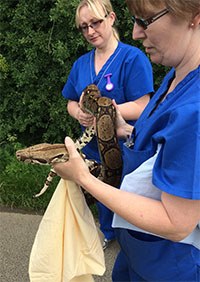 Teeside veterinary nurses Debbie Rowley and Karen Taylor