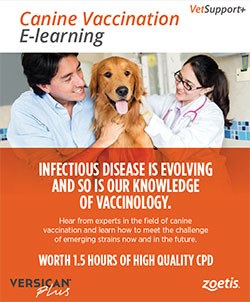 Zoetis has announced the launch of a free 1.5hr canine vaccination CPD course on its Vetsupport+ website.