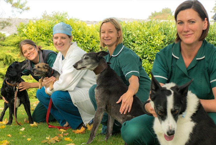 Davies Veterinary Specialists, the Hertfordshire-based multi-disciplinary referral centre, has been acquired by the Linnaeus Group.