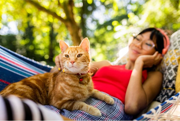 MSD Animal Health has announced that Bravecto Plus has been given a new licence to treat Otodectes Cynotis (ear mites) in cats.