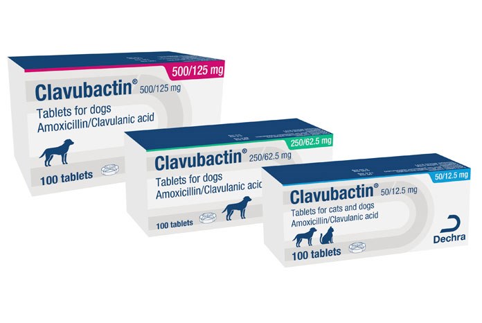 Dechra has added Clavubactin (amoxicillin and clavulanic acid) to its range, for the treatment of urinary tract, respiratory, gastrointestinal, oral and skin infections in cats and dogs.