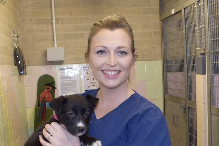 New CBBC vet show gives youngsters a look behind the scenes VetNurse